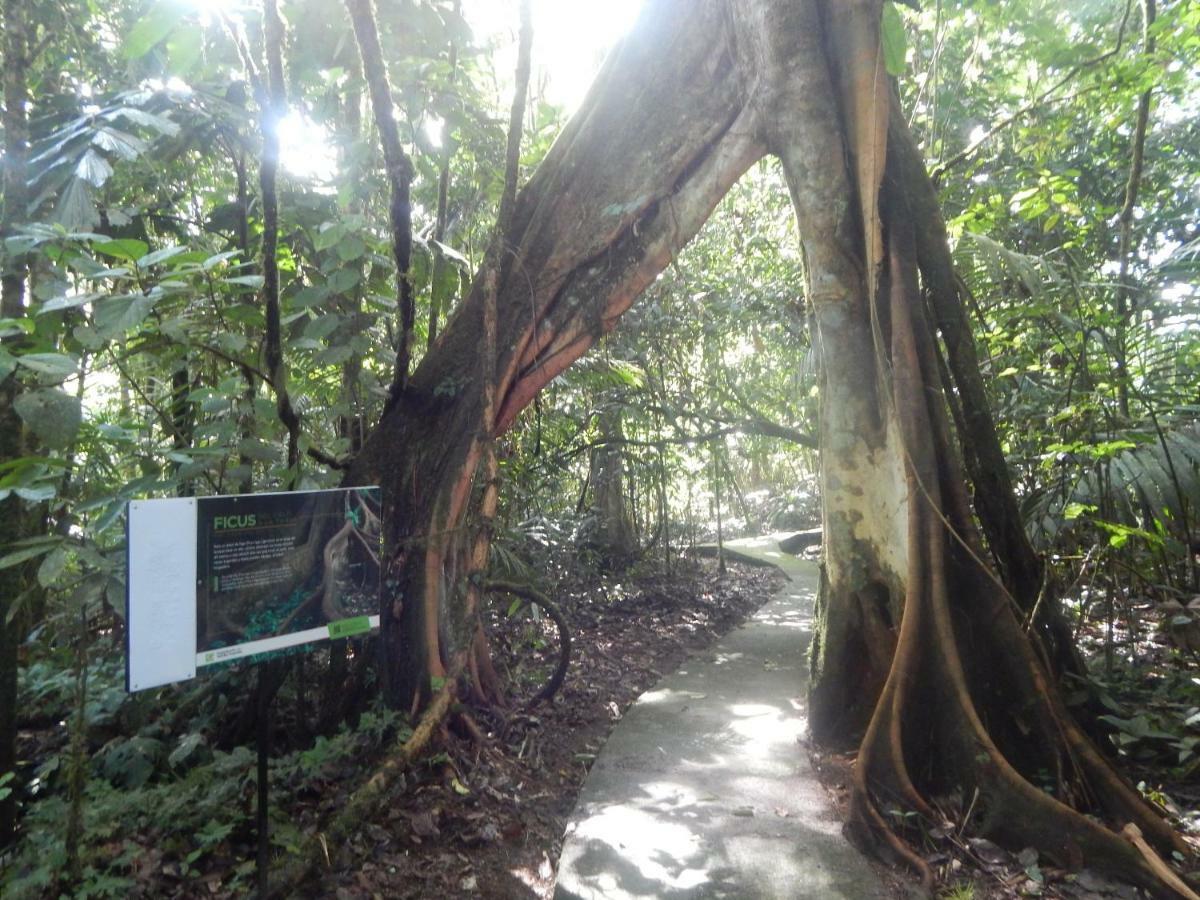 Hotel La Selva Biological Station Sarapiquí Exterior foto