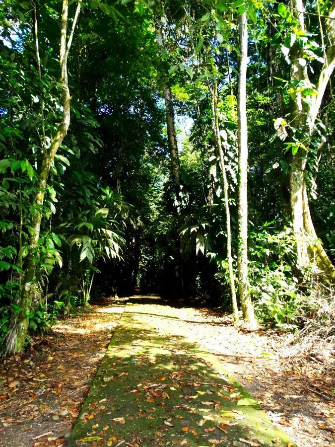 Hotel La Selva Biological Station Sarapiquí Exterior foto